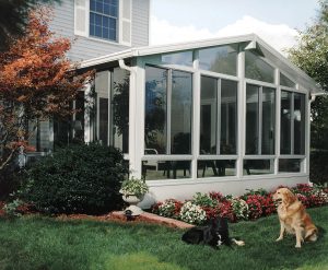 Two dogs sit outside of a home with green grass and a sunroom